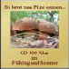 CD-100 Frühlings- und Sommerpilze ab 0605_1