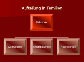 Hellblttler - Familien_102